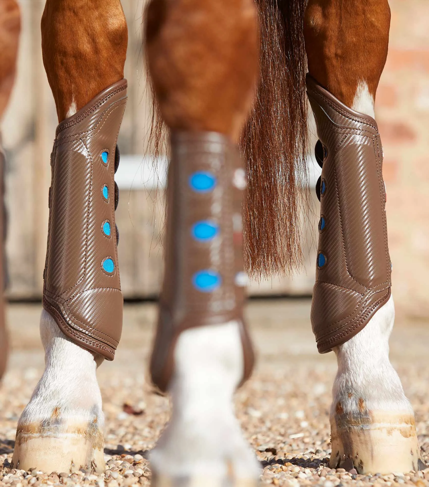 Carbon Tech Air Cooled Eventing Boots Brown Hind