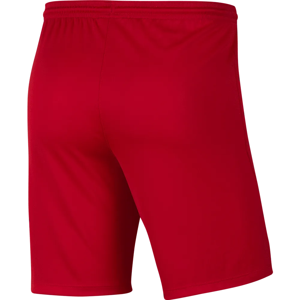 VISION FOOTBALL  Youth Nike Dri-FIT Park III Shorts - GK KIT